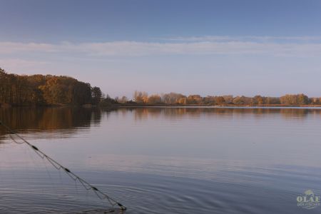 1O2A4348.jpg