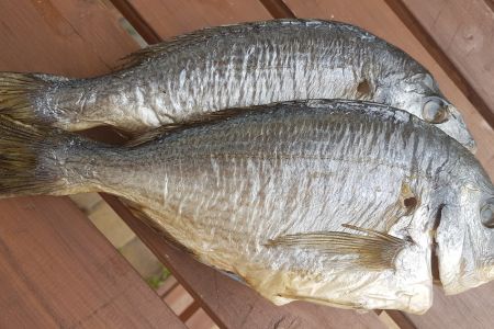 geräucherte Dorade
